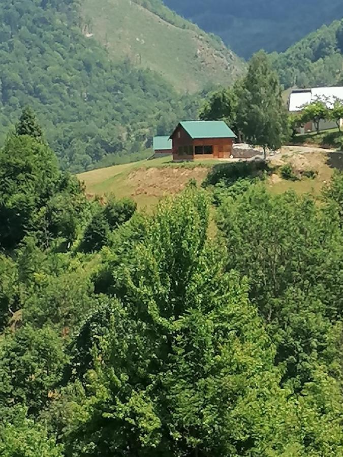 Etno Village ŽURIĆ Mojkovac Eksteriør bilde