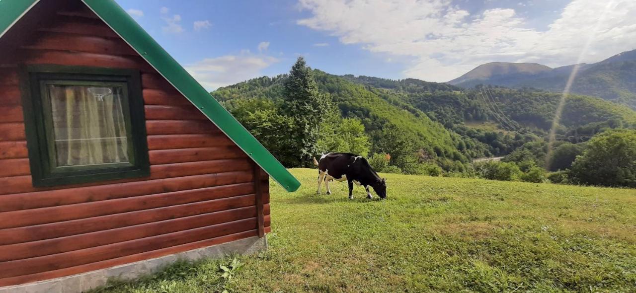Etno Village ŽURIĆ Mojkovac Eksteriør bilde
