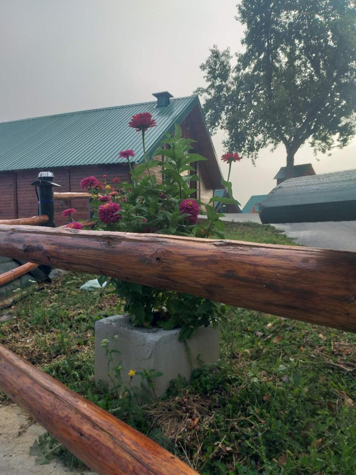 Etno Village ŽURIĆ Mojkovac Rom bilde